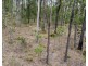 Lot 188 Arborthree Road, Glenwood QLD 4570