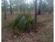Lot 188 Arborthree Road, Glenwood QLD 4570