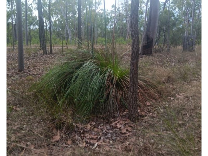 Lot 188 Arborthree Road, Glenwood QLD 4570