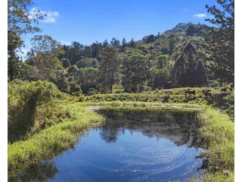 160 Little Road, Glastonbury QLD 4570