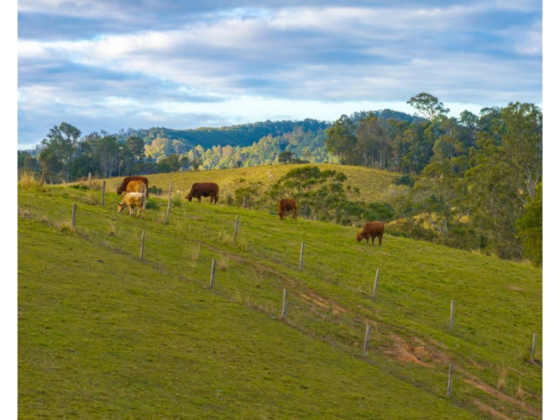 1611 Sandy Creek Road, Downsfield QLD 4570