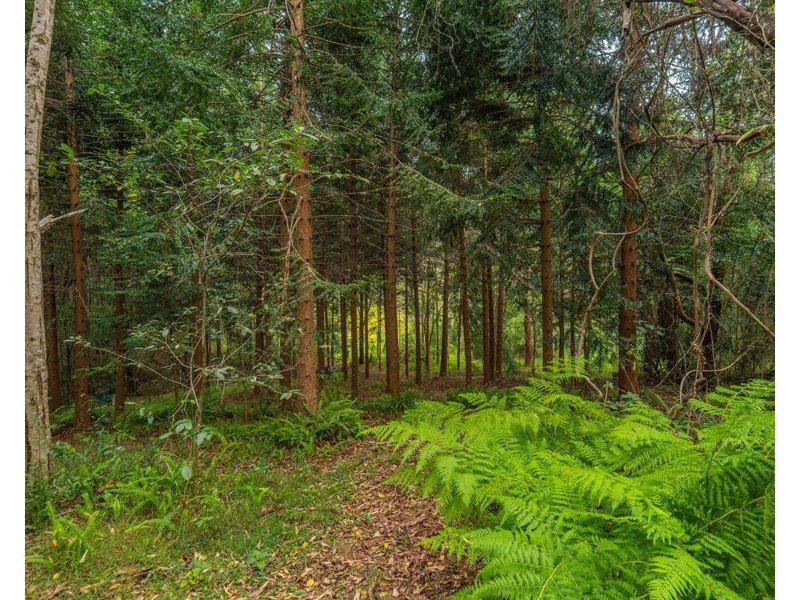 1896 Noosa Road, Traveston QLD 4570