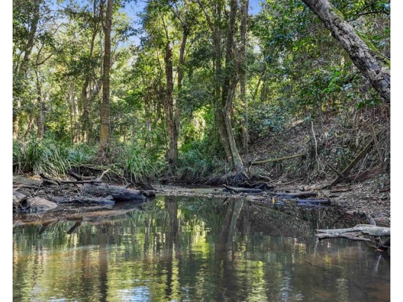 372 Wilsons Pocket Road, Wilsons Pocket QLD 4570
