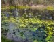 102 Cliff Jones Road, Curra QLD 4570