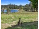 1344 Greenridge Pinbarren Road, Pinbarren QLD 4568