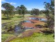 1344 Greenridge Pinbarren Road, Pinbarren QLD 4568