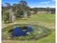 1344 Greenridge Pinbarren Road, Pinbarren QLD 4568