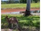 1344 Greenridge Pinbarren Road, Pinbarren QLD 4568