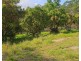817 Tin Can Bay Road, Canina QLD 4570