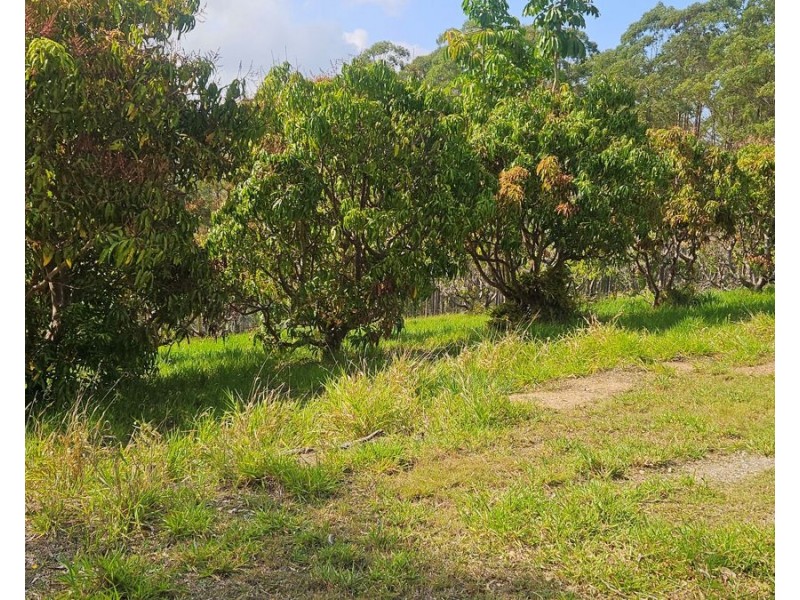 817 Tin Can Bay Road, Canina QLD 4570