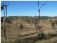 Tansey QLD 4601