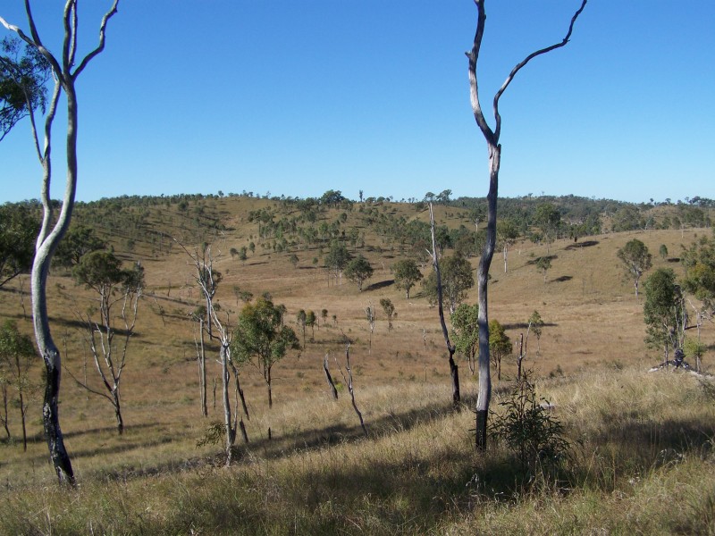 Tansey QLD 4601