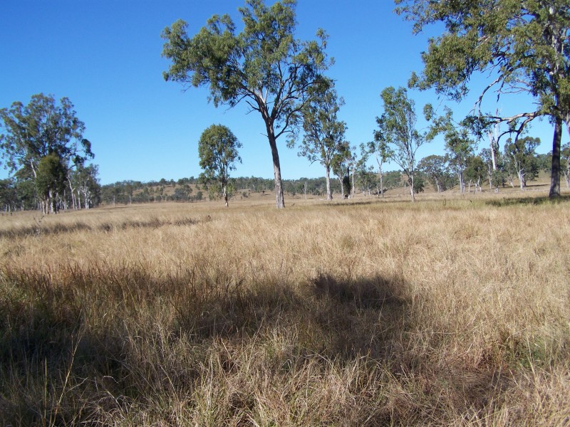 Tansey QLD 4601