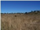 Tansey QLD 4601