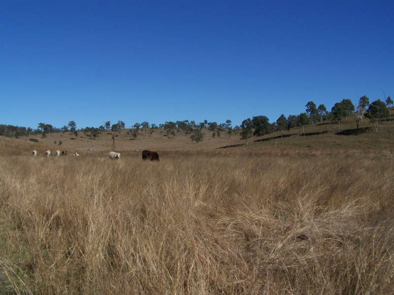 Tansey QLD 4601