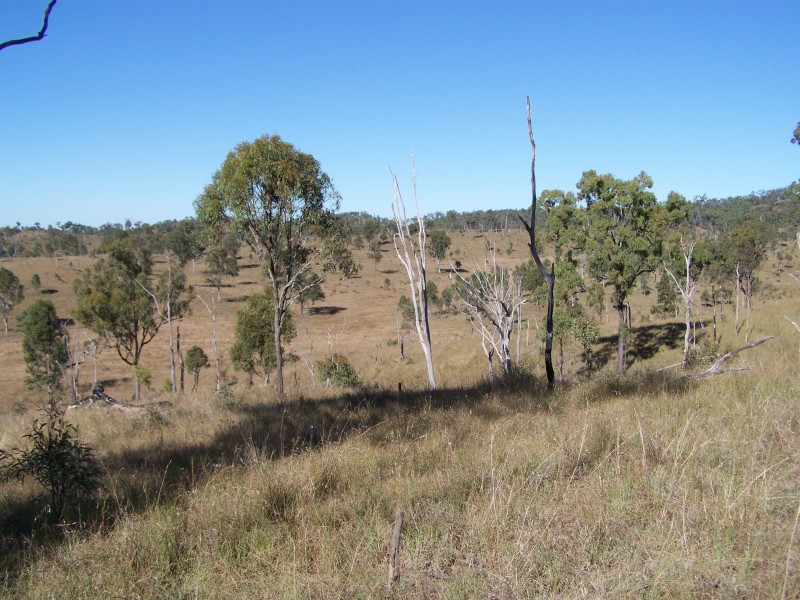 Tansey QLD 4601