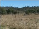 Tansey QLD 4601