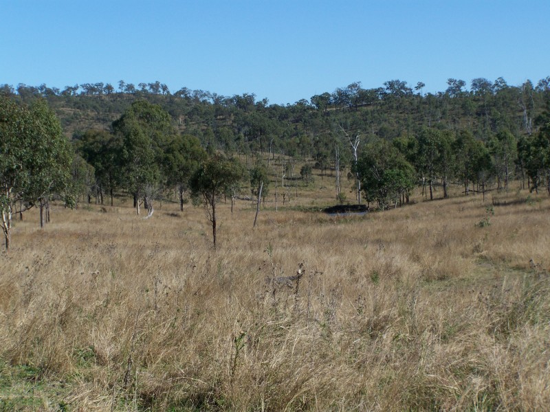 Tansey QLD 4601