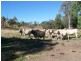 Tansey QLD 4601