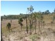 Tansey QLD 4601