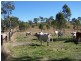 Tansey QLD 4601
