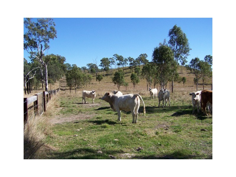 Tansey QLD 4601
