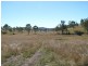 Tansey QLD 4601