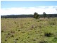 Corella QLD 4570