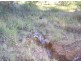 Glenwood QLD 4570