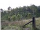 Curra QLD 4570