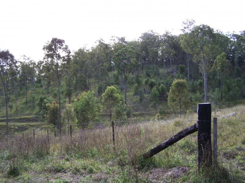 Curra QLD 4570