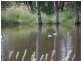 Gunalda QLD 4570