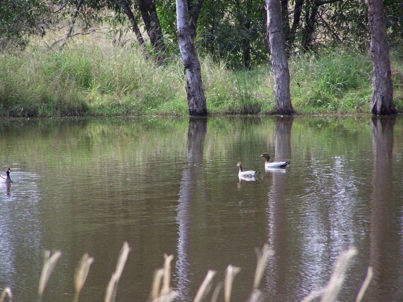 Gunalda QLD 4570