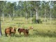 Kilkivan QLD 4600