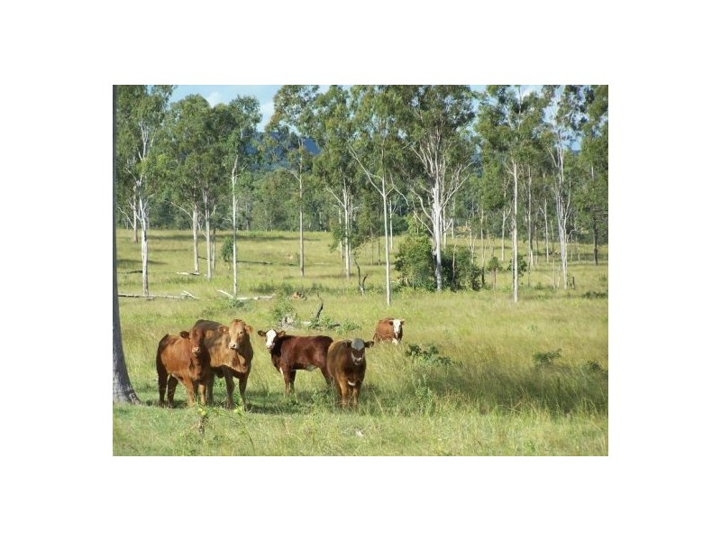 Kilkivan QLD 4600