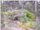 Glenwood QLD 4570