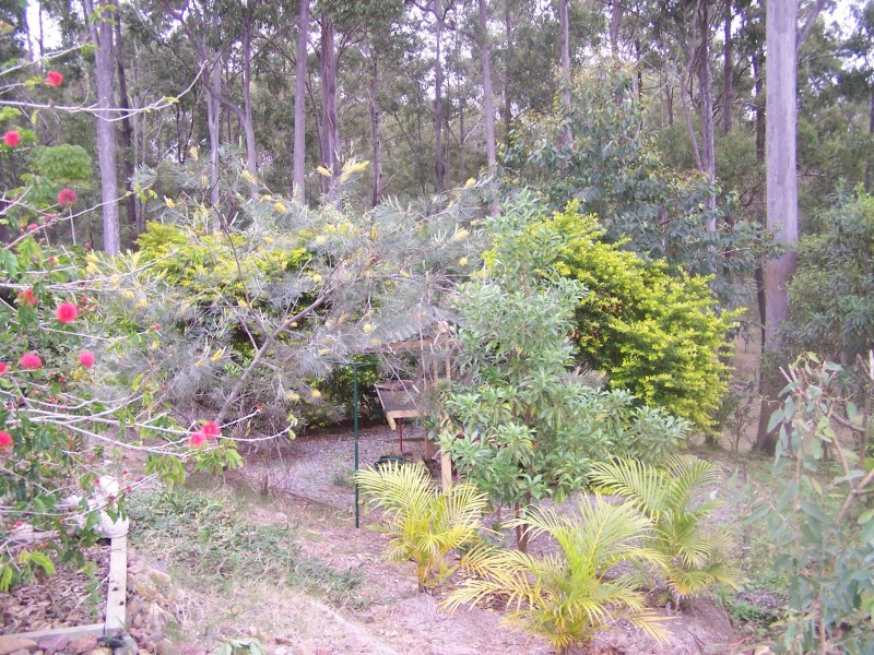Glenwood QLD 4570