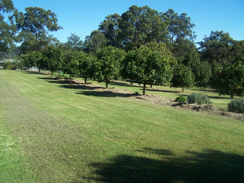 Canina QLD 4570