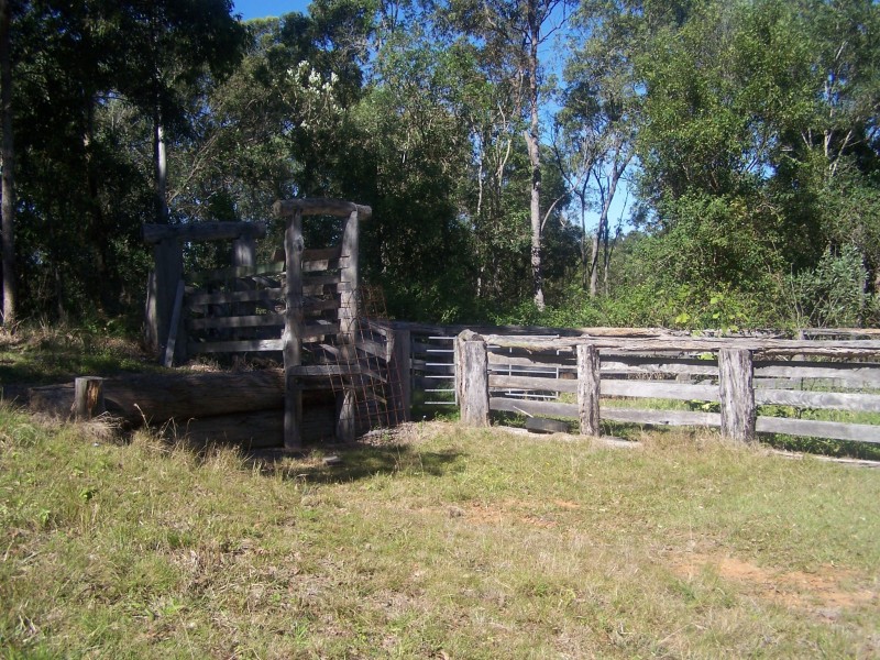 Canina QLD 4570