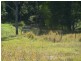 Canina QLD 4570