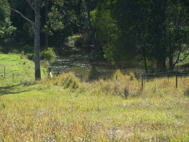 Canina QLD 4570