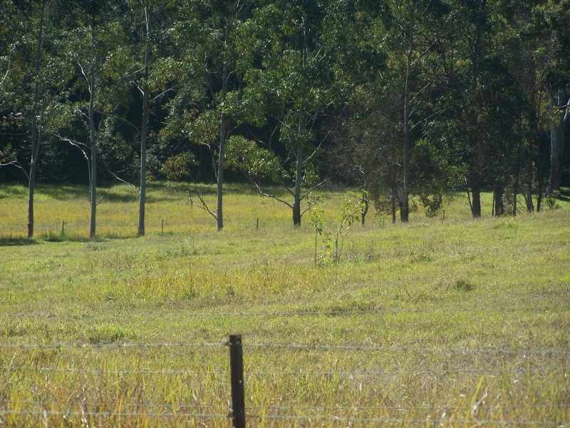 Canina QLD 4570