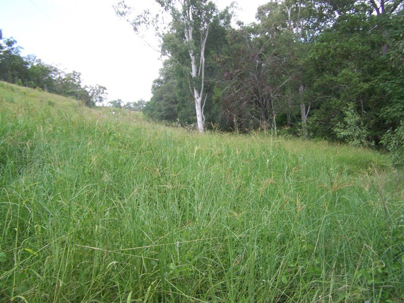 Glastonbury QLD 4570