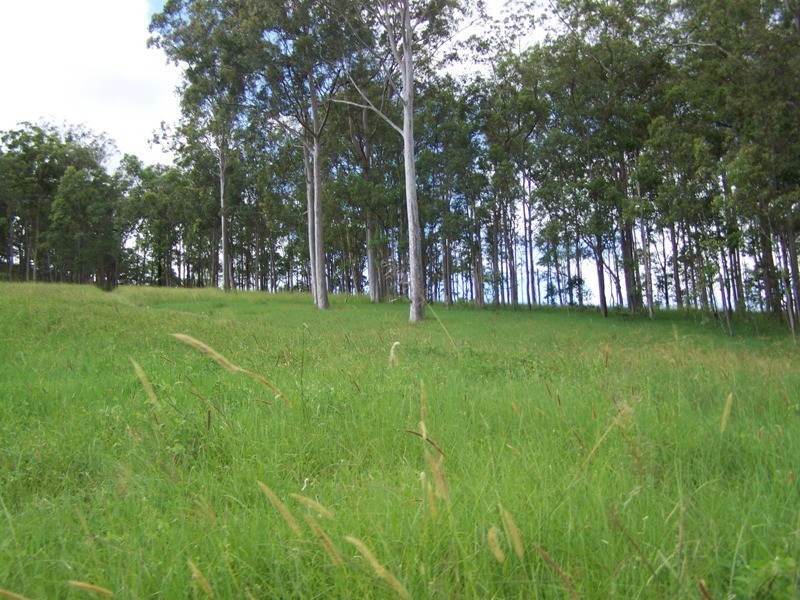 Glastonbury QLD 4570