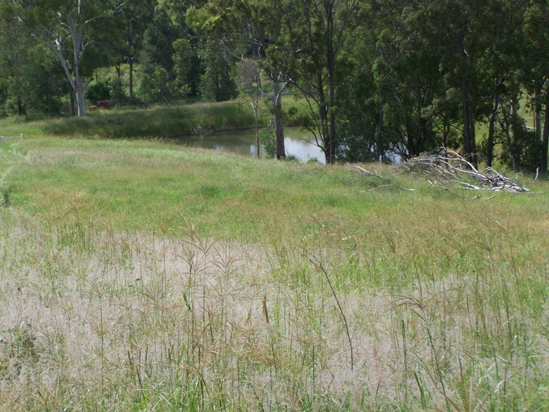 Glastonbury QLD 4570