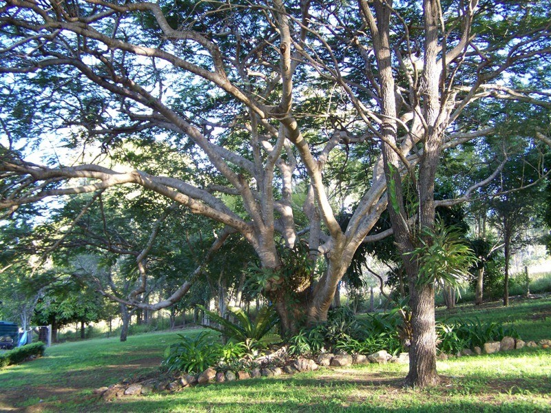 Kybong QLD 4570