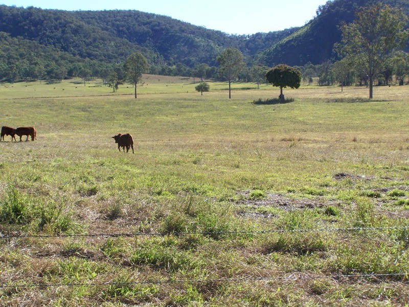 Lower Wonga QLD 4570