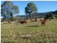 Lower Wonga QLD 4570