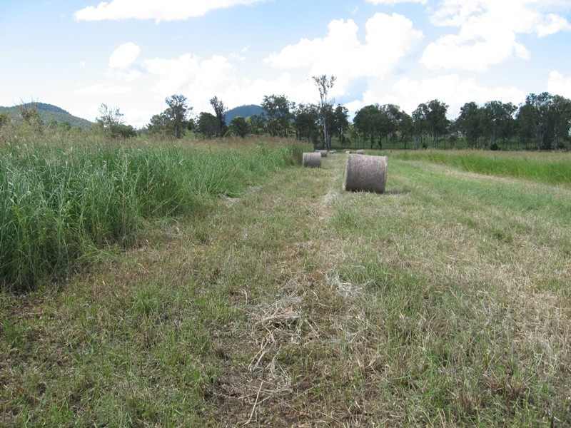 Lower Wonga QLD 4570