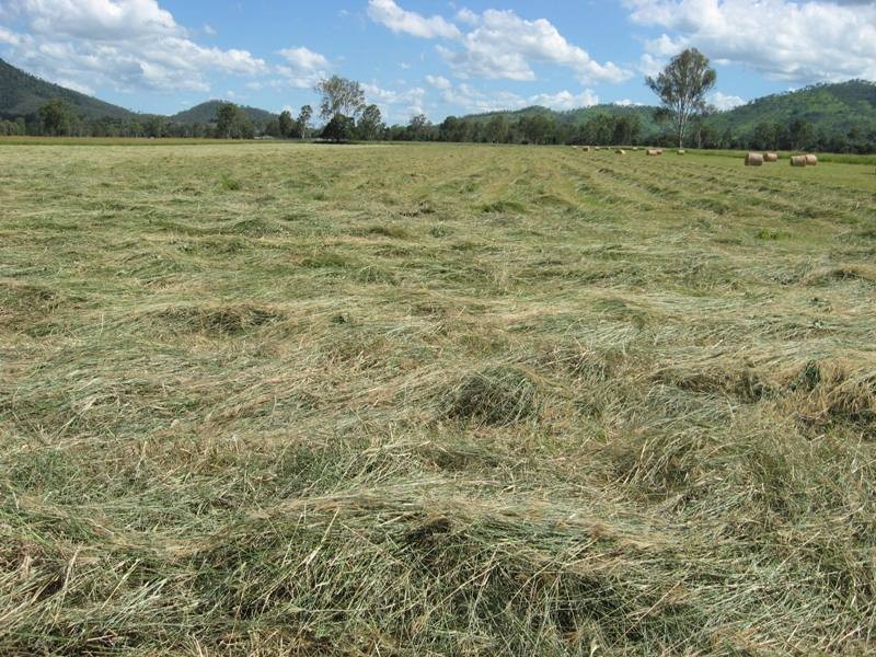 Lower Wonga QLD 4570